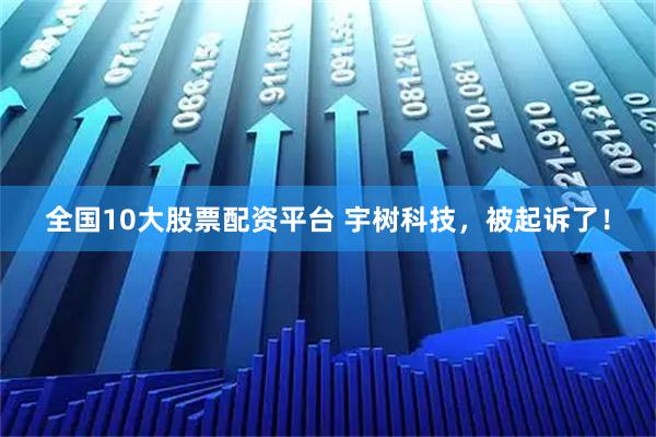 全国10大股票配资平台 宇树科技，被起诉了！