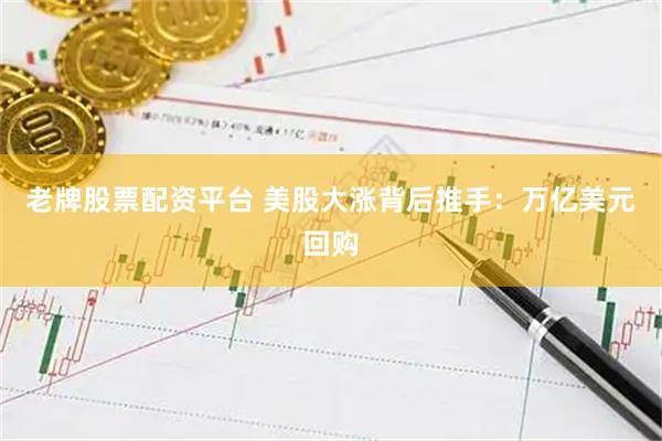 老牌股票配资平台 美股大涨背后推手：万亿美元回购