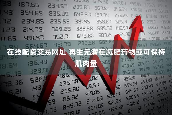 在线配资交易网址 再生元潜在减肥药物或可保持肌肉量